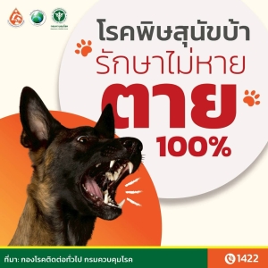 เทศบาลตำบลขามป้อม ขอประชาสัมพันธ์เกี่ยวกับ โรคพิษสุนัขบ้ารักษาไม่หาย ☠️ 100% "จำให้ขึ้นใจ! ? 5 ย. คาถากันกัด" โรคพิษสุนัขบ้า ป้องกันได้ถ้าเราไม่เข้าไปเสี่ยง เพียงทำตาม 5 ย. ง่ายๆ