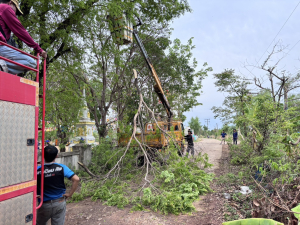 งานป้องกันฯ และกองช่าง เทศบาลตำบลขามป้อม ดำเนินการบริการประชาชน ตัดต้นไม้ บ้านหนองบัว หมู่ที่ 11 (บริเวณทางเข้าวัดบ้านหนองบัว)